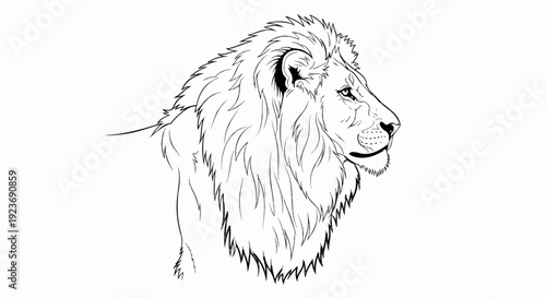 Outline of a male lion's head and mane in profile against white
