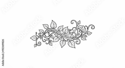 Ornate black and white botanical vine with swirling tendrils and leaves