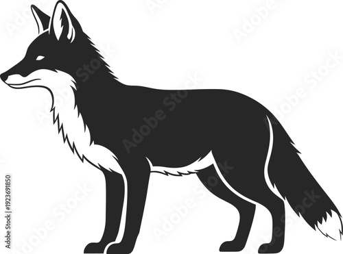 Black and white wolf vector illustration
