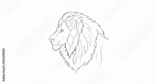 Minimalist sketch of a lion's head in profile, focusing on its mane and regal features