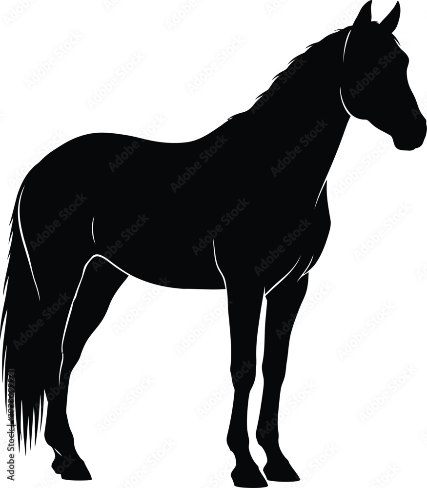 Obraz premium Black horse silhouette vector
