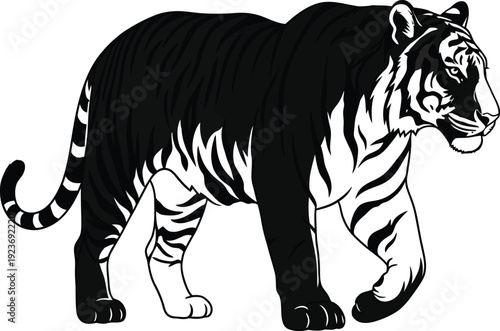 Black and white tiger vector illustration