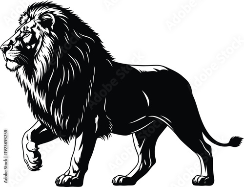 Black lion vector illustration