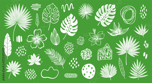 Vibrant Green Background with Hand-Drawn Tropical Leaves Flowers and Abstract Shapes for Design and Decoration