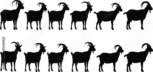 Set of black goat silhouettes isolated on white background, farm animal livestock figures, mountain billy goat horn profile shapes, vector illustration