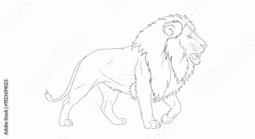 Outline sketch of a lion with flowing mane walking forward