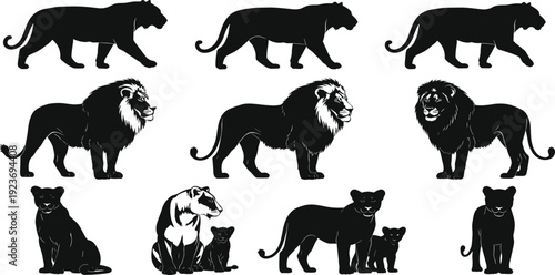 Vector Silhouettes of Lions Tigers and Cubs in Various Poses Including Walking Standing and Sitting Isolated on White Background for Design