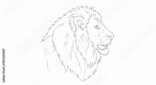 Rough sketch of a majestic lion's head in profile, detailed mane