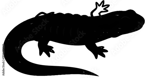 Silhouette of a black salamander with a long tail and speckled texture