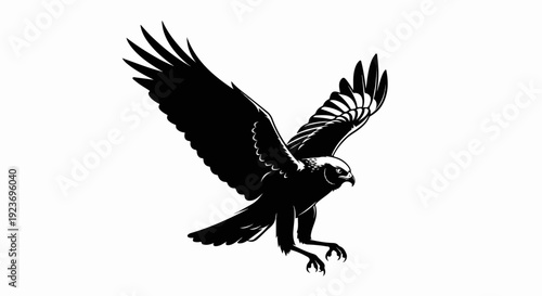 Silhouette of a bird of prey with wings spread in flight, talons extended