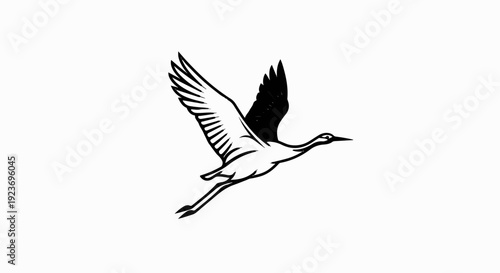 Silhouette of a bird in mid-flight against a white background