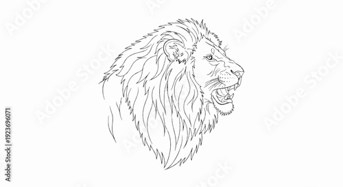 Roaring lion head, stylized line art on white background, fierce expression.