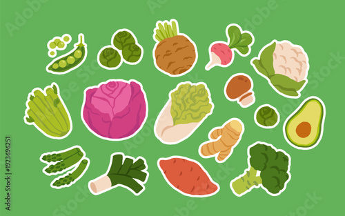 Collection of various vegetables isolated on white background. Healthy vegetarian food. Bundle of organic natural crops, salads, greens and herbs. Colorful vector illustration in flat cartoon style