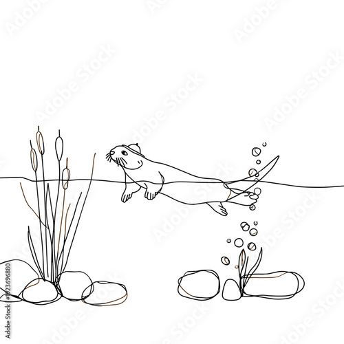 Explorer Platypus Swimming in Calm Creek