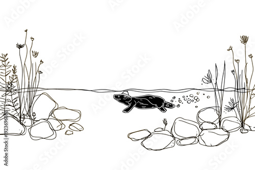 Explorer Platypus Swimming in Calm Creek