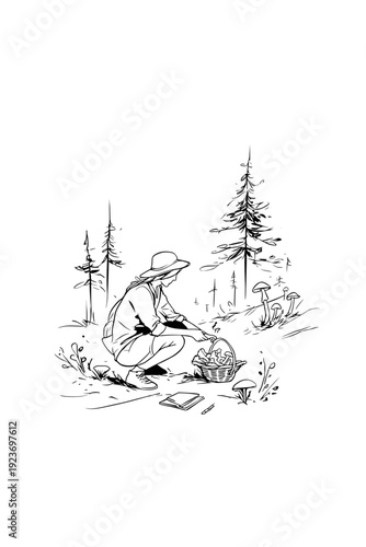 Forager Collecting Chanterelle Mushrooms in Forest