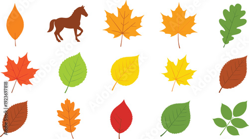 Autumn foliage collection with colorful maple oak birch leaves and horse silhouette isolated on white background for seasonal design,