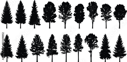 Forest tree silhouette collection, pine spruce oak vector, woodland nature icons, outdoor garden landscape design elements, timber wilderness greenery set, plant.