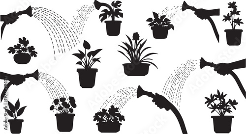 Black and white illustration of potted plants being watered