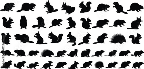 Rodent silhouette collection, squirrel beaver porcupine vector, wild small mammal icons, forest animal design elements, woodland nature set, wildlife graphics.
