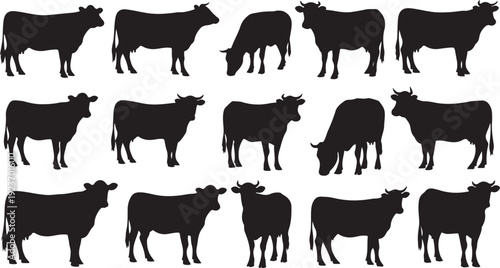 Collection of black cow silhouettes in various poses isolated