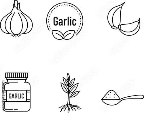 Garlic related outline icons set on transparent background