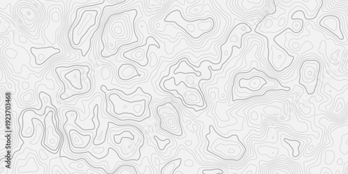 Minimal Topographic Map with Detailed Contour Lines and Mountain Elevation Relief
Abstract Background Texture Inspired by Natural Terrain Mapping