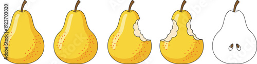 Pear Eating Stages Vector Set with Whole Yellow Fruit, Bite Marks, and Core Progression for Healthy Food Illustration and Nutrition Concept Design