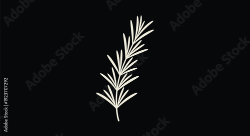 Rosemary Sprig Monoline Outline on Black – Off-White Minimal Herb Stem Vector Line Art