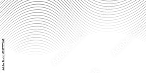 White Background with Wavy Thin Lines. Futuristic Elegant White Background and Gray Gradient Decorative Wave Stripe. eps 10