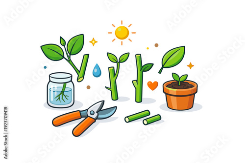 Cuttings representing home gardening and sustainable plant care habits. A clean editorial metaphor with trimmed stems and leaves arranged neatly to suggest