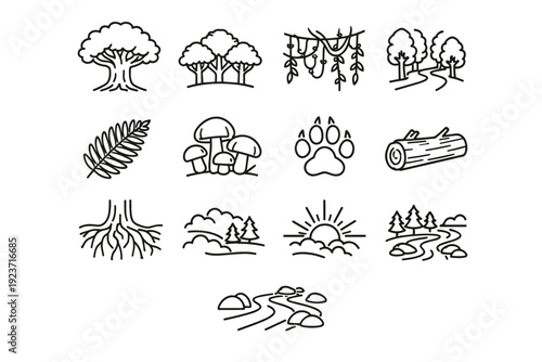 Forest and Jungle. Line icon set of Forest and Jungle: giant tree, tree canopy, jungle vines, forest path, fern leaf, mushroom cluster,