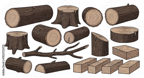 A collection of various wooden elements including logs, stumps, branches, and cut lumber pieces, showcasing different textures and shapes.