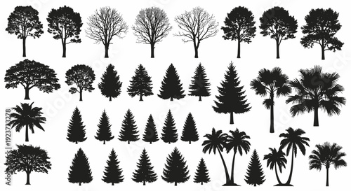 Collection of Silhouetted Trees, Including Deciduous, Evergreen, and Palm Varieties, Showcasing Diverse Shapes and Forms.