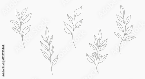 A collection of delicate line art illustrations of botanical sprigs and leaves, presented on a clean white background.