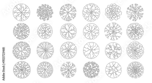 A collection of detailed top-down illustrations of various deciduous trees, showcasing intricate branch patterns and canopy shapes.