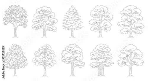 Collection of ten different types of trees, depicted in a black and white line drawing style, showcasing varied foliage and trunk structures.
