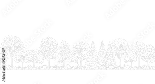 A detailed, minimalist line drawing of a diverse forest landscape with various trees and foliage.