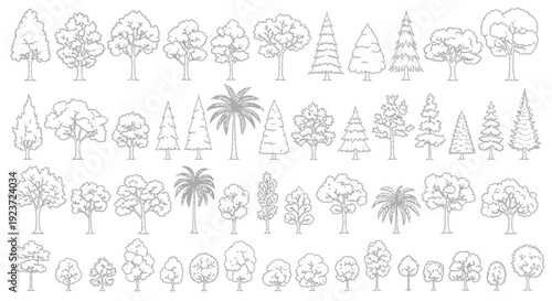 A comprehensive collection of diverse tree illustrations, showcasing various species and styles for design purposes.