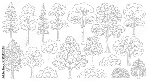 A collection of detailed black and white line drawings of various deciduous and coniferous trees, showcasing different shapes and foliage types.