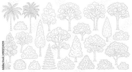 A detailed collection of various types of trees and bushes, presented as a black and white line drawing illustration.
