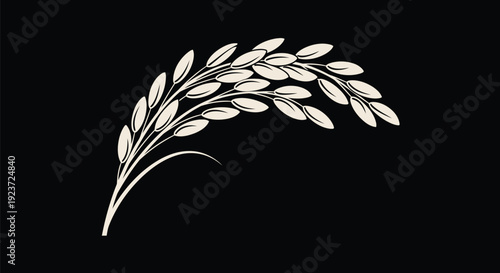 Rice Panicle Monoline Outline on Black – Off-White Minimal Paddy Grains Vector Line Art