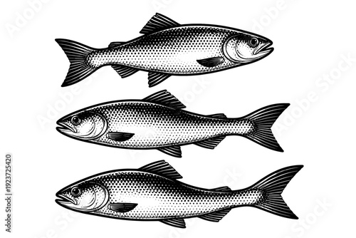 Fish minimal object swimming pose with gently curved body and tail motion frozen across three side-oriented views. Black and white dot style