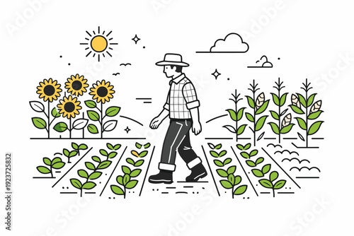 Sunflowers, cornfields, and agricultural beauty. Farmer walking through rows of crops, observing healthy plants under a clear sky. Calm
