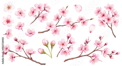 桜のイラストパーツセット（枝・花びら・蕾・単体）,春の素材,卒業,入学,お花見,手描き風