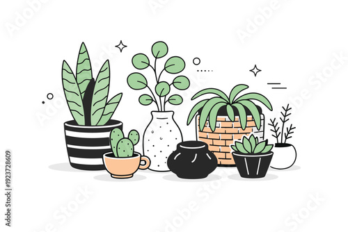 Mismatch objects harmony. Arrangement of plants in pots of different styles and shapes, naturally blending into a calm corner. Organic