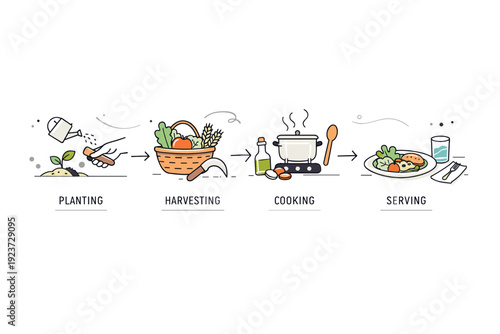 Sustainable food process. Icons and simple objects showing planting, harvesting, cooking, and serving, arranged in a calm linear flow. The