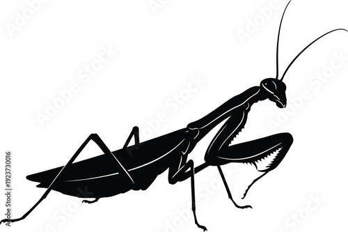 Praying mantis insect profile silhouette suggests predatory nature.