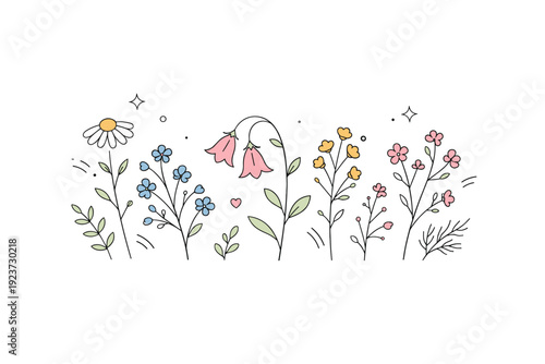 Delicate Wildflower Designs. Wildflower illustrations. Delicate wildflowers with thin stems and small blossoms arranged in a light natural composition. Calm