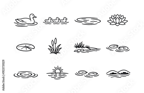 A family of ducks swimming in a calm pond, with water lilies floating nearby. Line outline